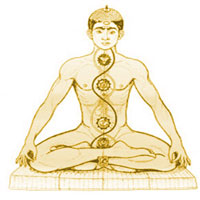 Raja Yoga  YOGA FACULTY